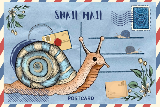Snail Mail Postcard