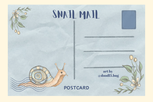 Snail Mail Postcard
